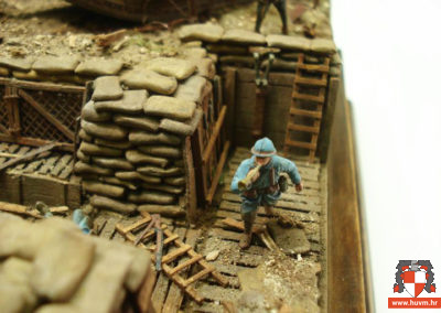 image (5)